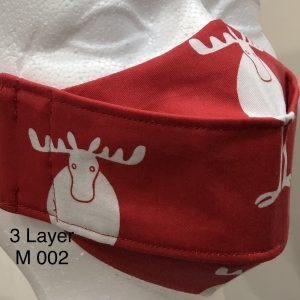 Seasonal Themed Face Masks