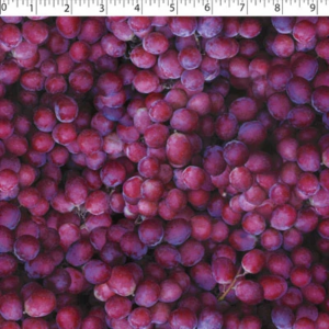 Grapes Fabric Swatch