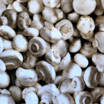 Mushrooms Fabric Swatch